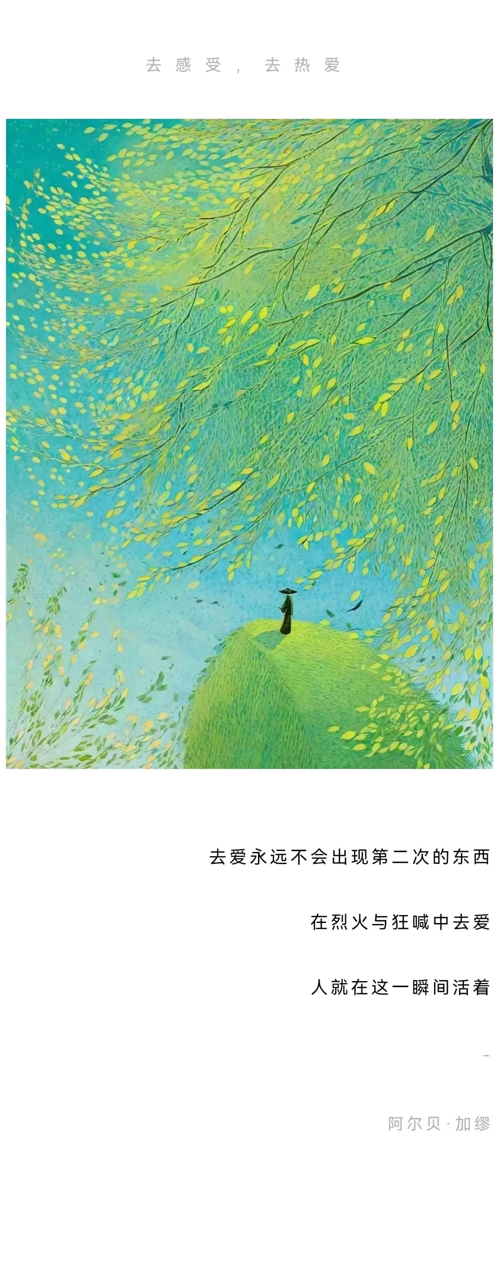 追逐梦中的「天青色」
