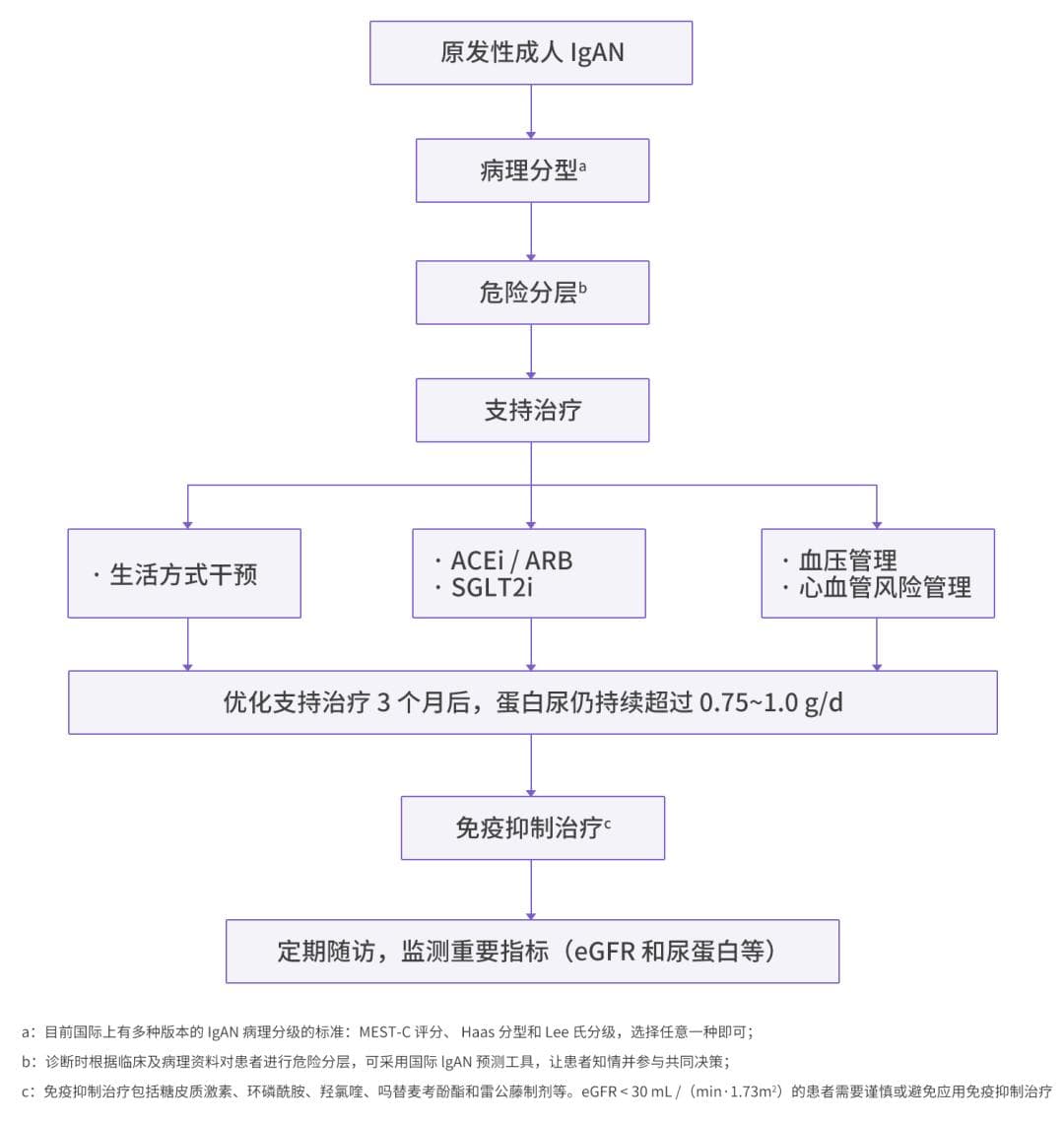 《原发性 IgA 肾病管理和治疗中国专家共识》发布，四大要点讲清关键内容