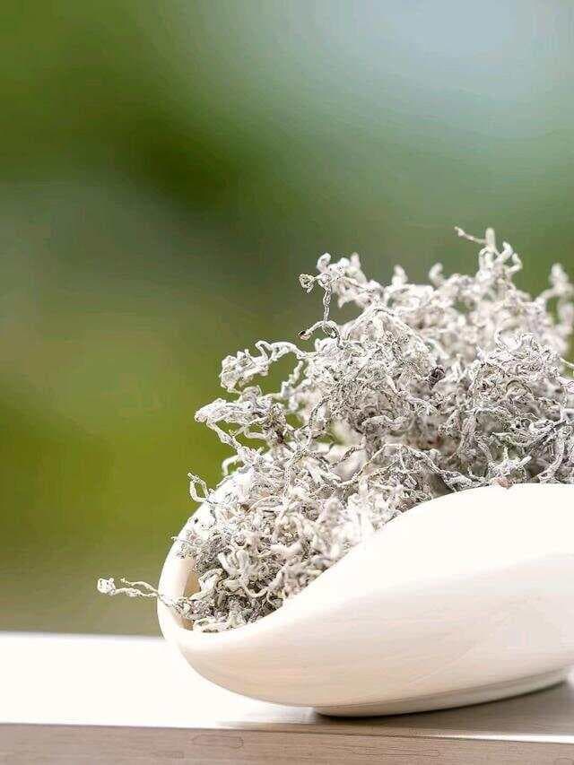 关于莓茶：你不得不知道的十个问题！