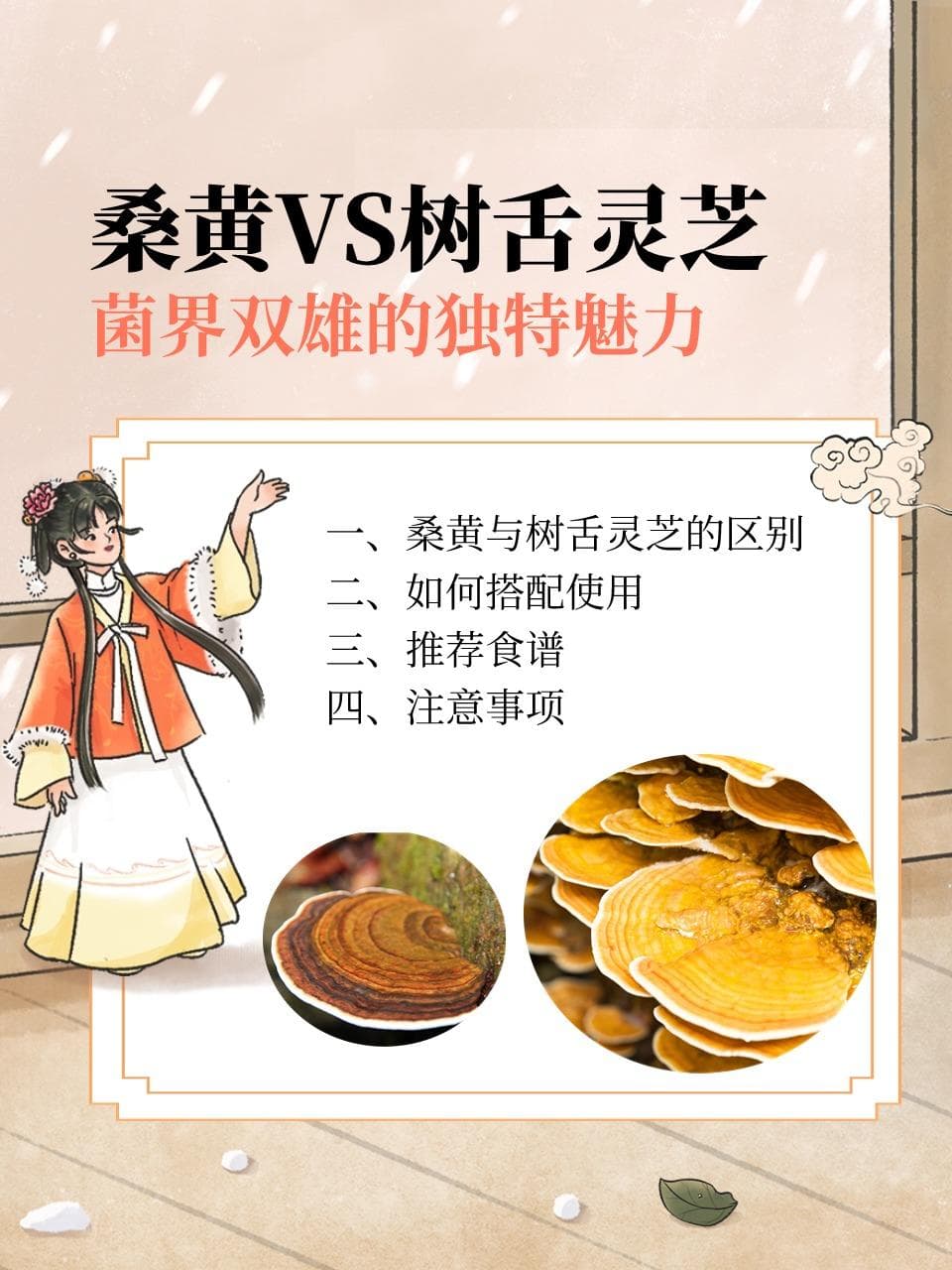桑黄VS树舌灵芝——菌界双雄的独特魅力