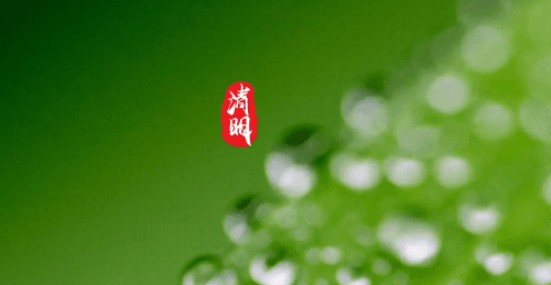 清明节能否回娘家？传统习俗与现代观念的碰撞