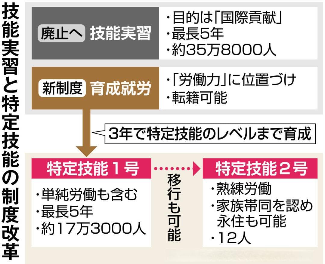 日本特定技能签证新政：5年接收82万人，国际人才迎来新机遇