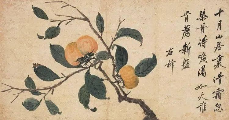 柿柿如意、事事如意！