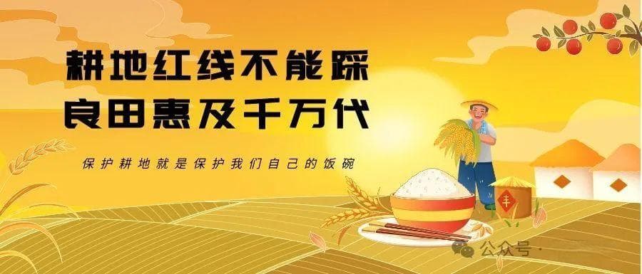 宾川6万余亩晚熟沃柑甜蜜上市