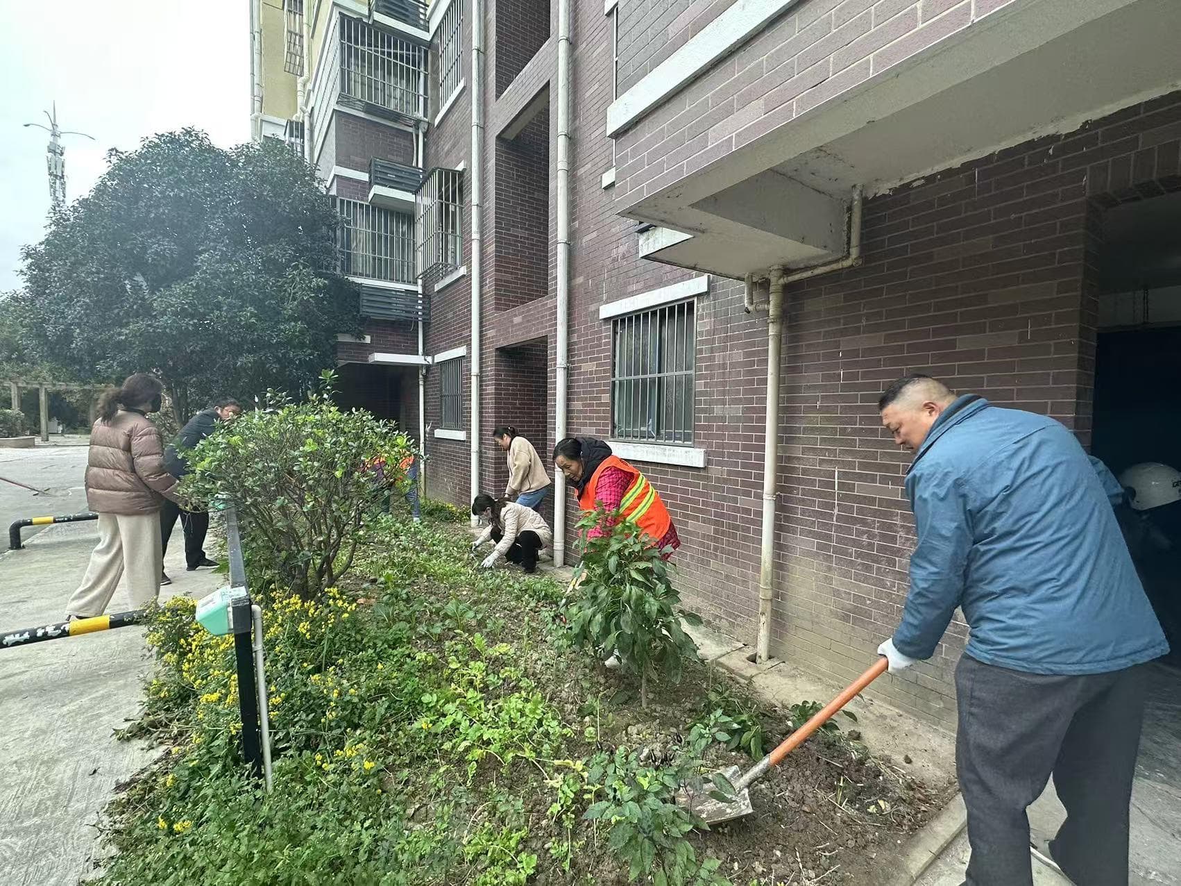20多年的老小区面貌焕然一新 创新管理模式让老旧小区更宜居