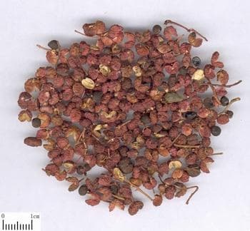 花椒：从种植到药用的全面解析