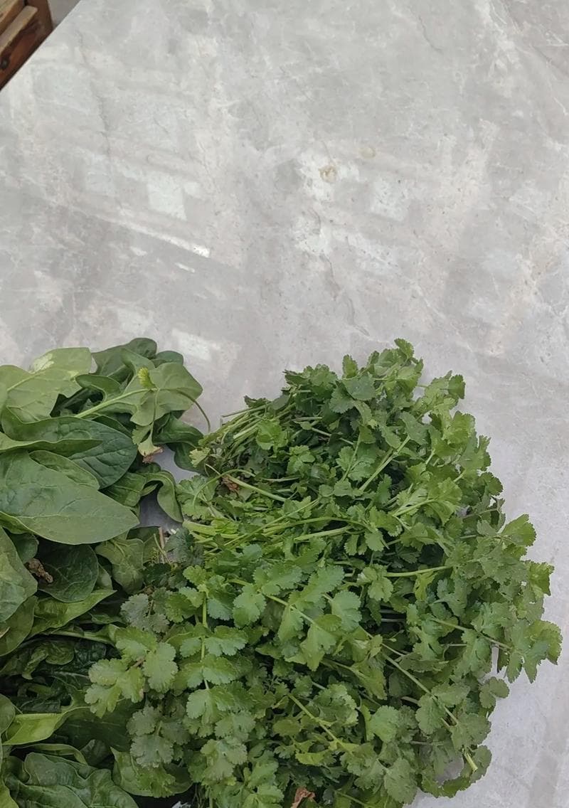 菠菜的根茎到底能不能吃？（探究菠菜的根茎的营养价值及食用方法）