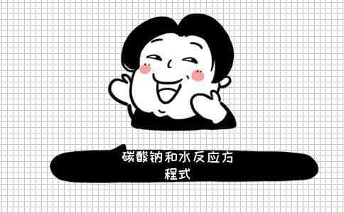 碳酸钠和水反应方程式