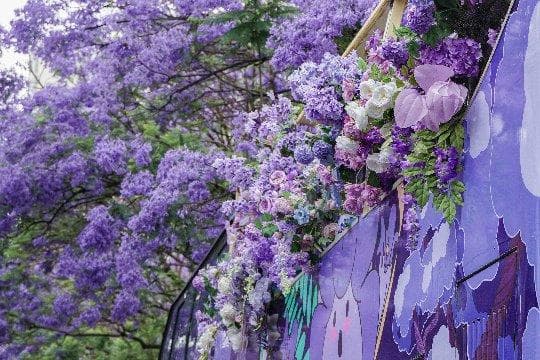 薰衣草婚礼花墙：浪漫氛围中的爱情誓言