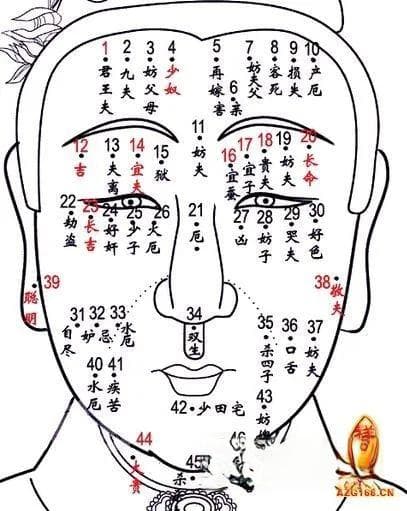 八字命理学中的交友宫与仆役宫：紫微斗数解读配偶能力