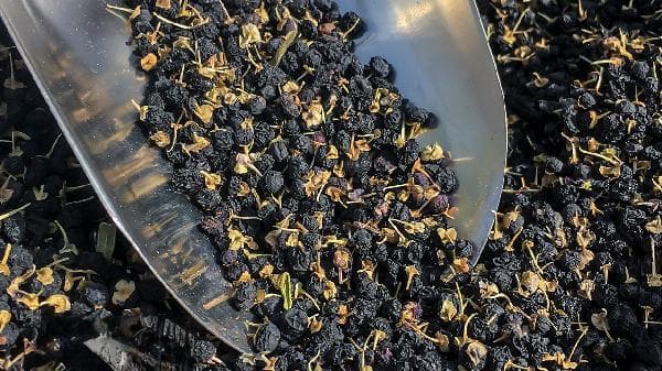 肠道蠕动慢便秘怎么办？这些食物助你改善