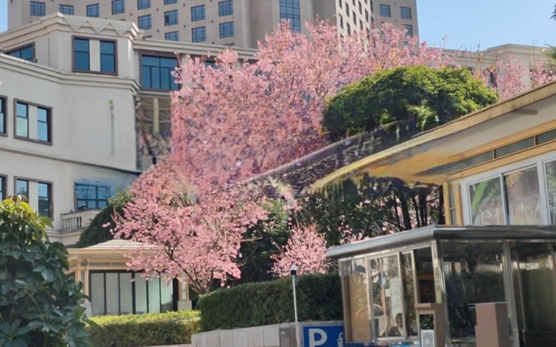 春城无处不飞花：探寻春天的魅力与生机