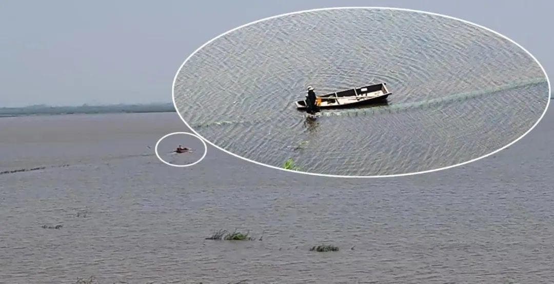 安徽通报：安庆沿江湿地省级自然保护区部分区域管理保护不到位