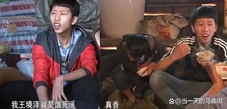 王境泽靠真香定律年入百万