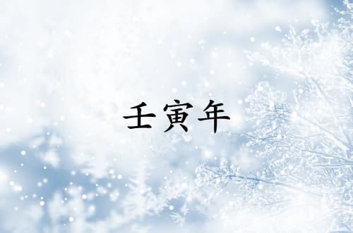 壬寅年是指哪一年？属什么生肖？