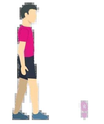 【患者安全】预防老年人跌倒的九种最佳运动