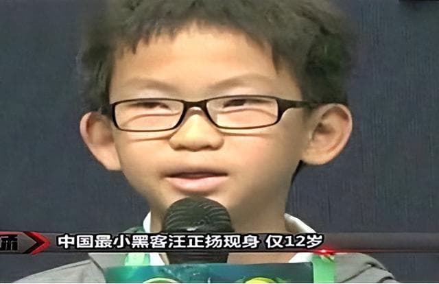 中国最小"黑客"汪正扬：从编程少年到网络安全专家的成长之路