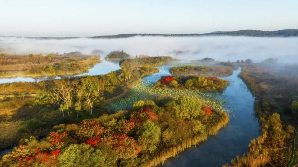 吉林寻秋记丨长春净月秋日限定美景！氛围感超绝