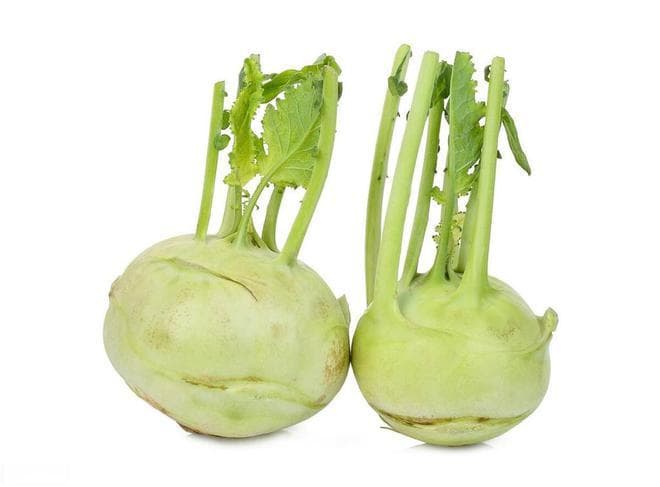 春秋季种植有讲究，科学管理种出优质苤蓝菜