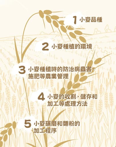 烘焙控必读！首测烘焙面粉！破解同“筋”不同“效果”的原因