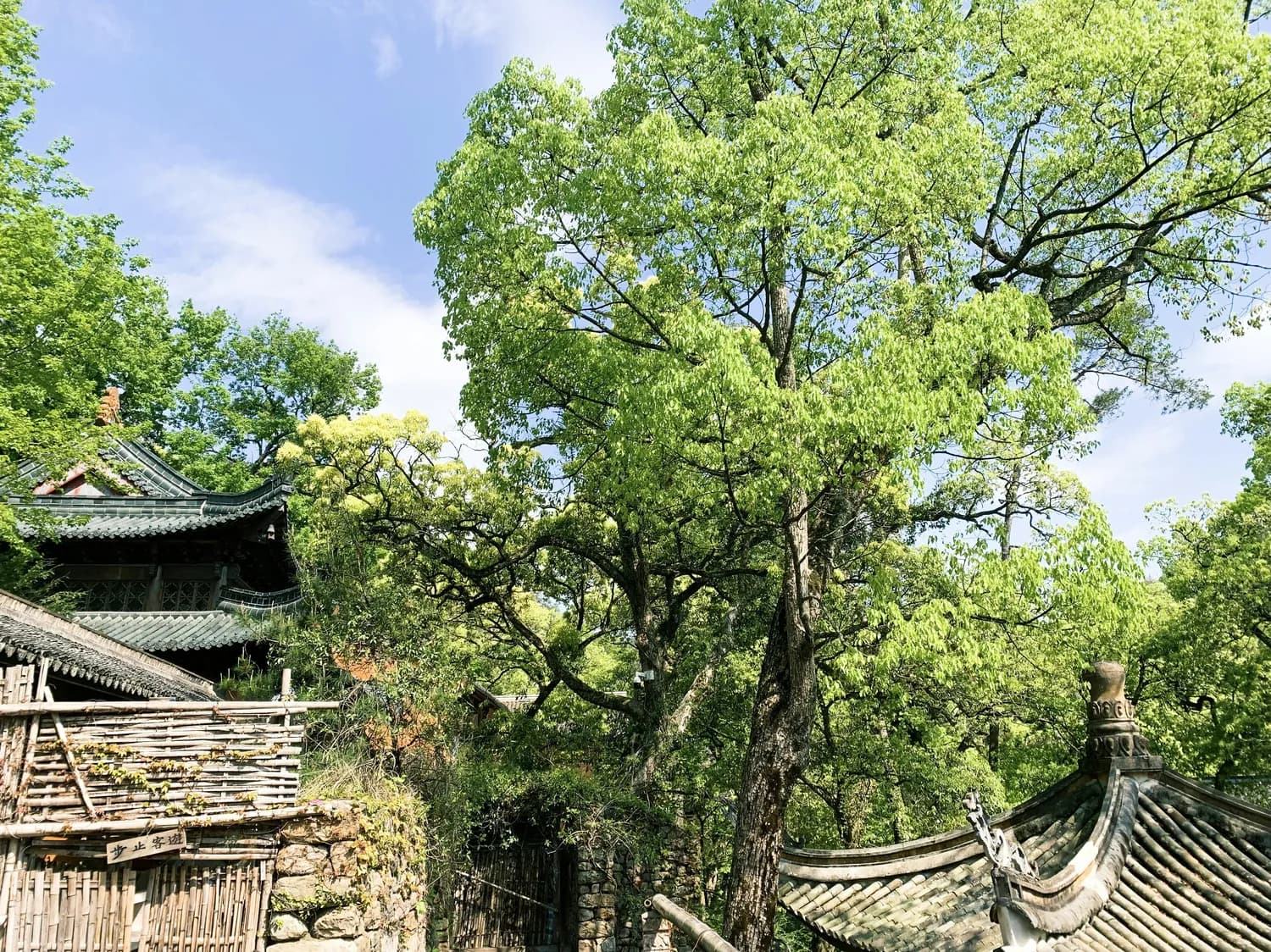 青州古城：司法守护下的文化传承