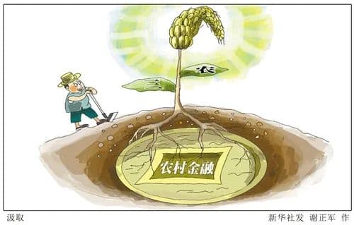胡国生：推动农村金融创新 助力乡村振兴