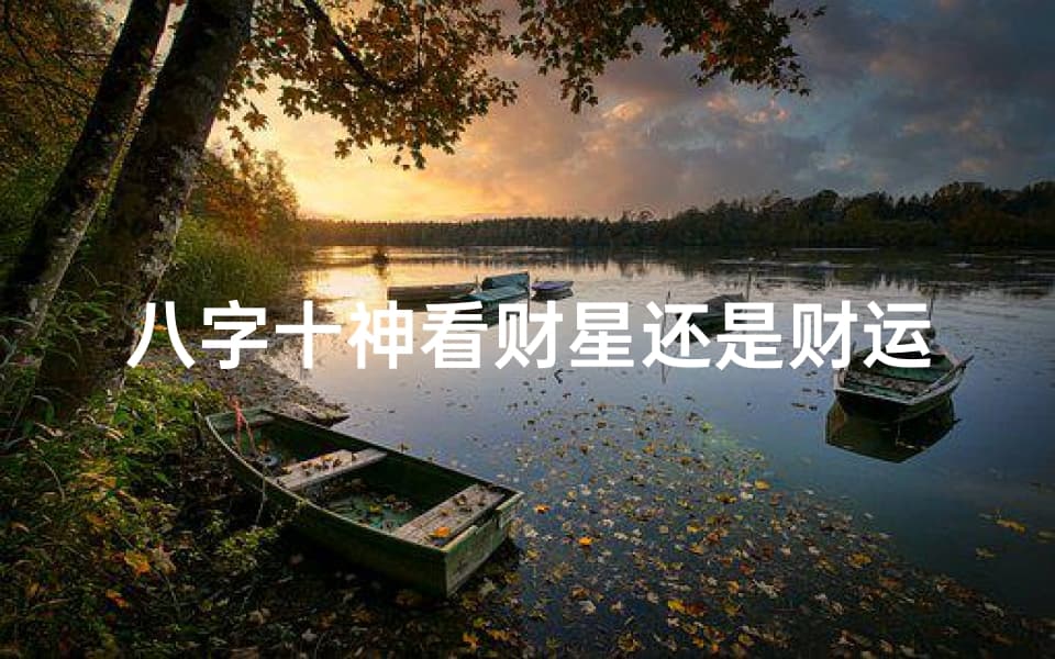 八字十神看财星还是财运(八字十神看性格断语)