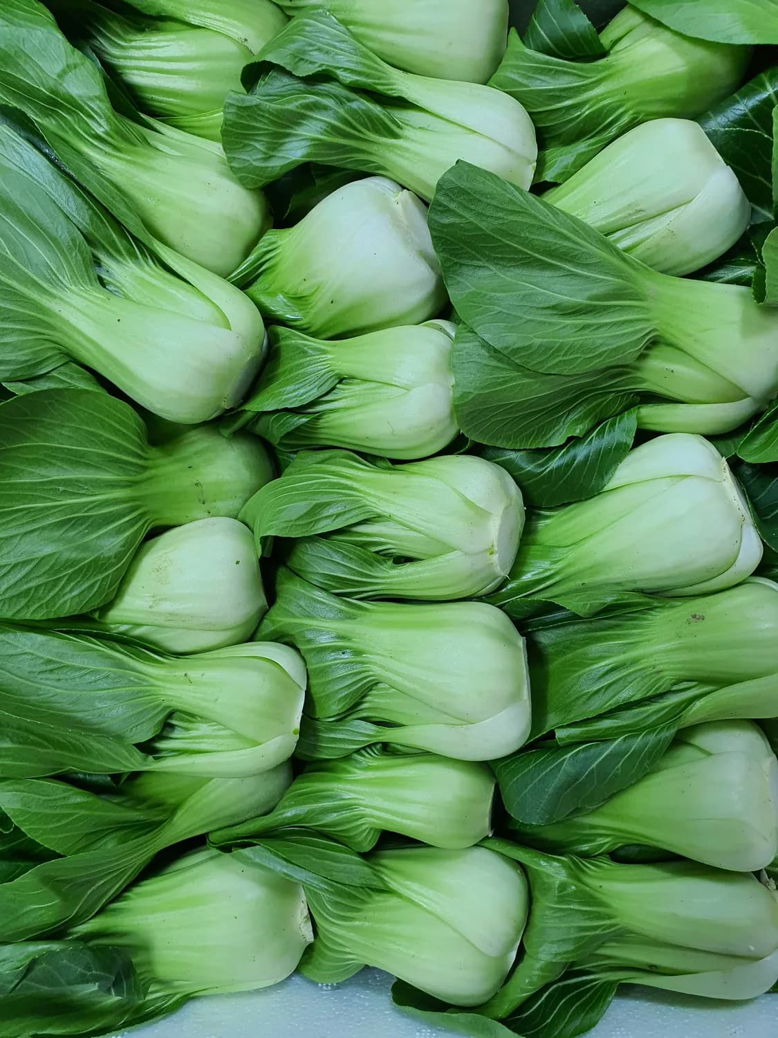 简易版香菇扒油菜：205万人点赞的秘密！