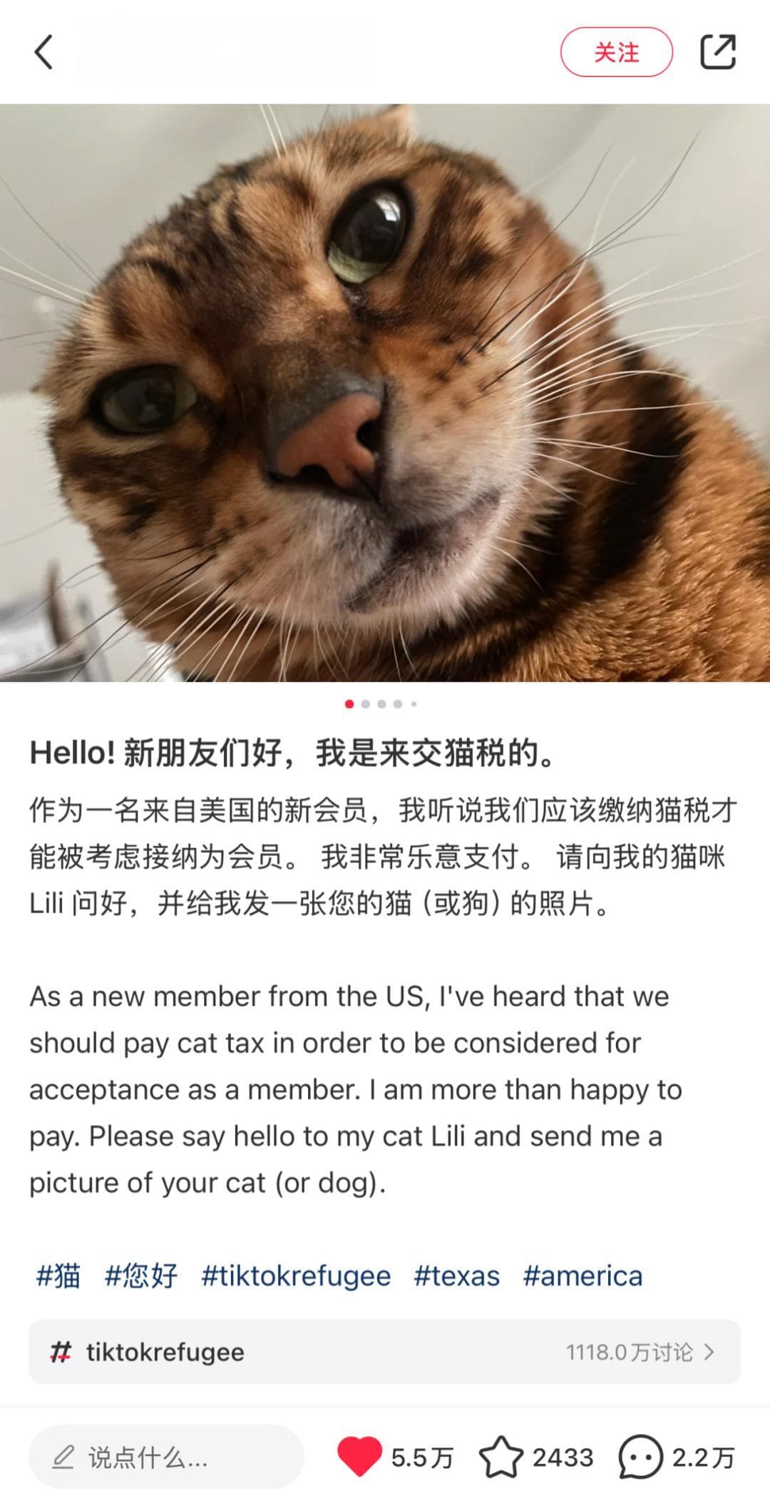 老外的小红书冲浪指南，我逐条学习