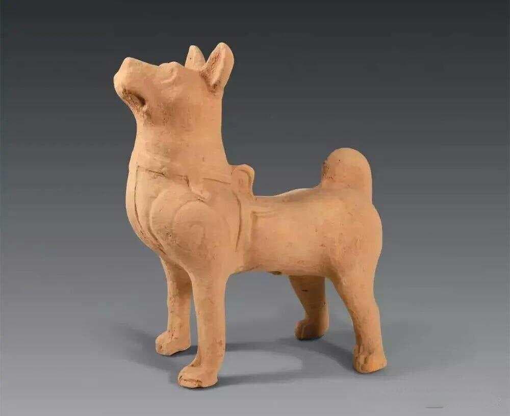 狗项圈简史：从8000年前的舒瓦米斯到维多利亚时代的奢华