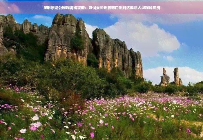 昆明翠湖公园观海鸥攻略：如何乘坐地铁站口出到达滇池大坝观鸥专线