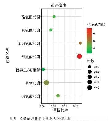 论文解读 | 《基于网络药理学探讨桑黄治疗肝炎的作用机制》