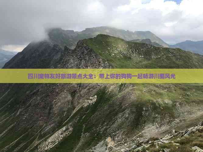 四川宠物友好旅游景点大全：带上你的狗狗一起畅游川蜀风光