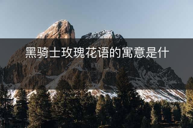 黑骑士玫瑰花语的寓意是什么？