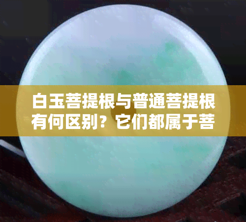 白玉菩提根与普通菩提根有何区别？它们都属于菩提根吗？