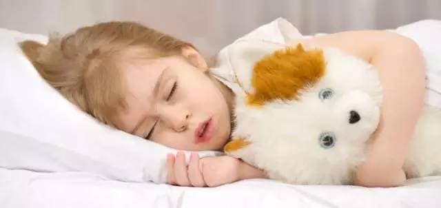 晚上9点至凌晨2点，是狗狗最佳睡眠时段。