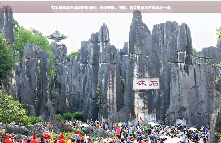 带父母参加西双版纳旅游团：行程安排、住宿、景点推荐及注意事项一览