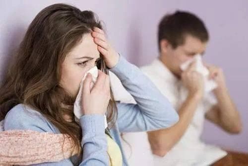 鼻过敏症的症状、触发因素和缓解方法