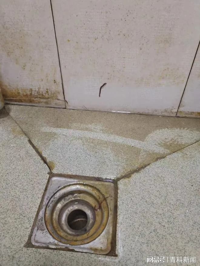 江西应用科技学院水质问题屡遭曝光，学生自寻解决办法