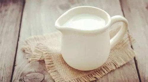 为什么感冒不能喝牛奶