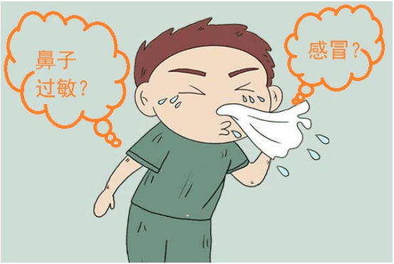 鼻子过敏与感冒的重要差异及治疗方式