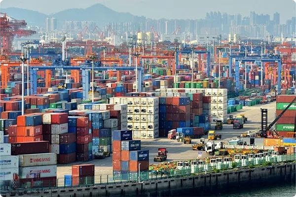 国际贸易代理进出口流程：全面解析与优化策略