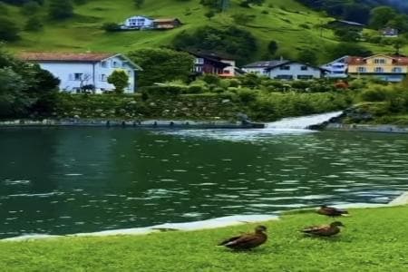 新生儿起名五行分析,2024姓名测试打分