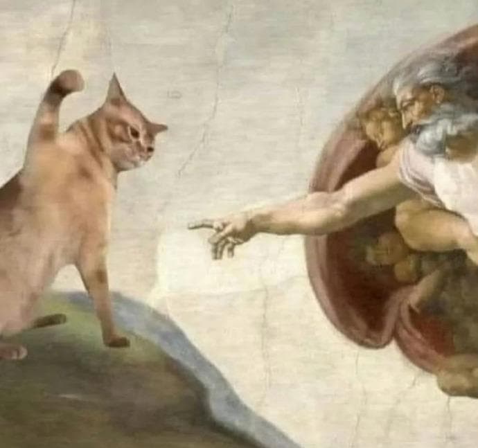 猫咪知识分享：保姆级手法