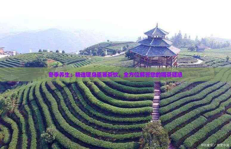 冬季养生：精选暖身驱寒茶饮，全方位解答您的喝茶疑惑