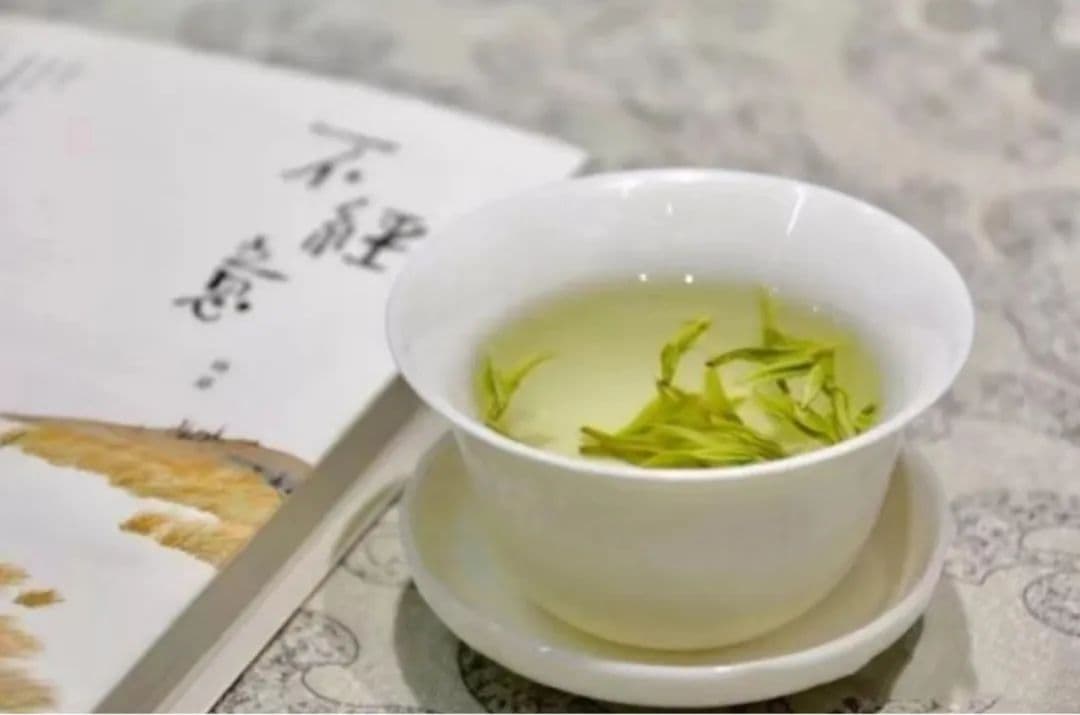 文化有约丨茶文化之安吉白茶