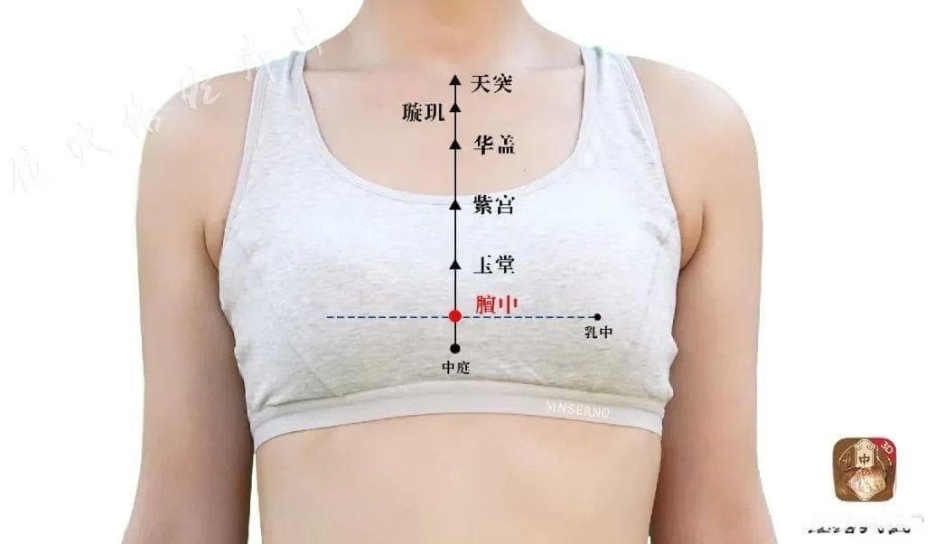 中医保健五大穴位竟然有这些功效？丨杏林之声