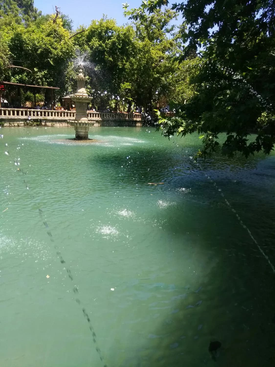 济南三大名胜背后的故事：从泉水喷涌到荷香蛙静