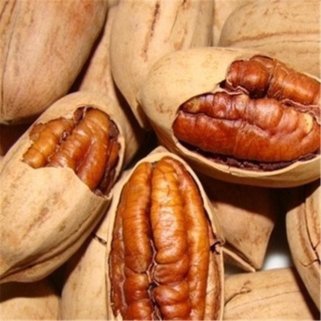 孕期吃碧根果，真的能让宝宝更聪明吗？