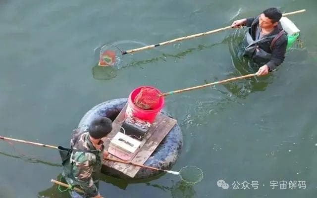 电鱼的危害到底有多大？